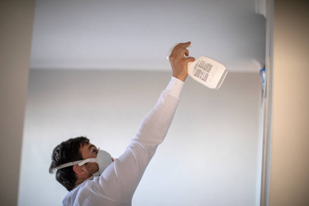 Best Mold Cleaning Services  in Chapel Hill, NC