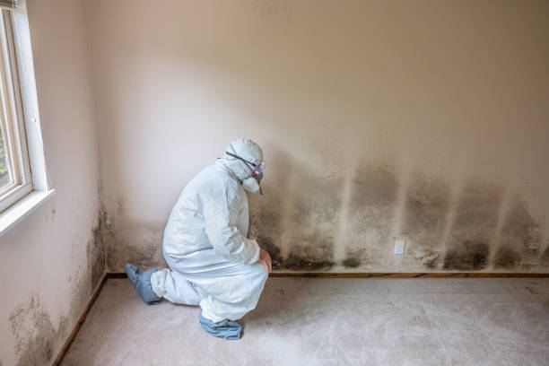 Best Crawl Space Mold Removal  in Chapel Hill, NC